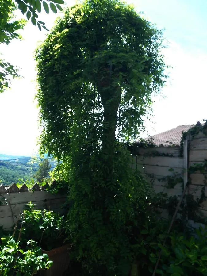 Baita Degli Dei Hotel San Benedetto Val di Sambro Guest house